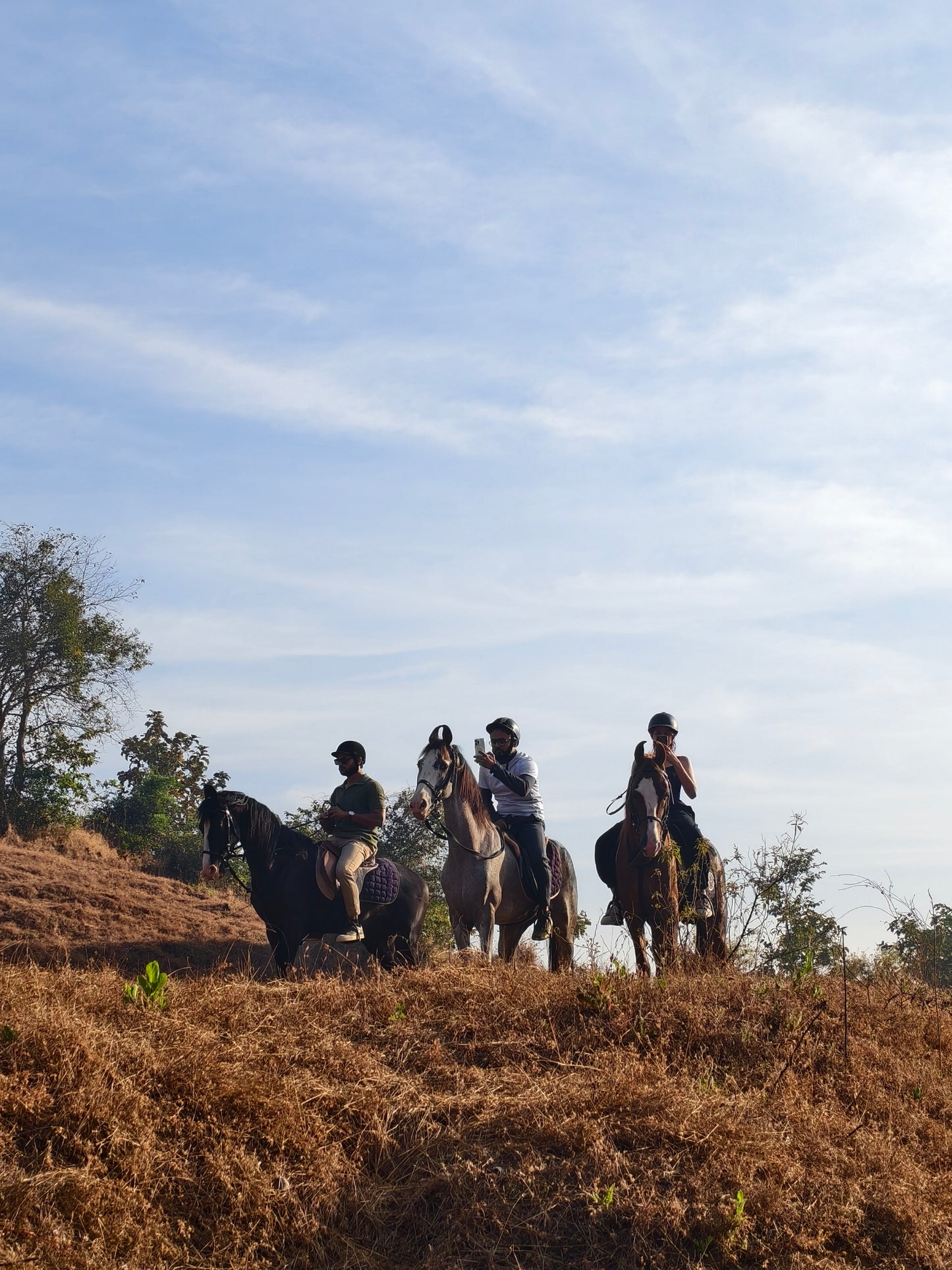 Saddle & Safari : A Jungle Horseback Adventure for One