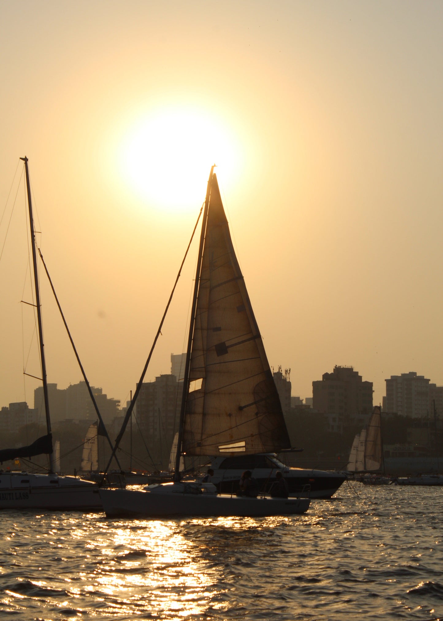 Golden Horizon Sunset Sail for 8