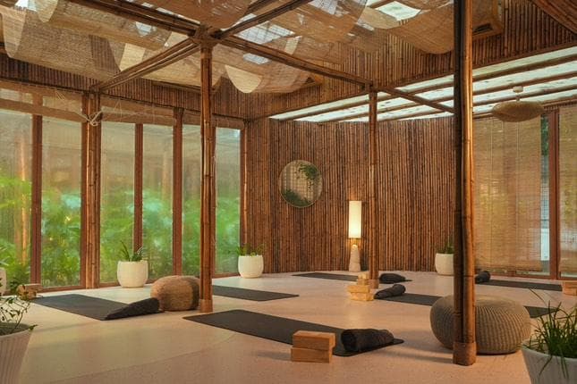 Half-Day Wellness Experience