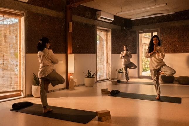 Half-Day Wellness Experience