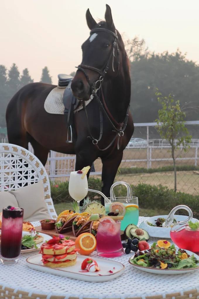 Equestrian brunch experience