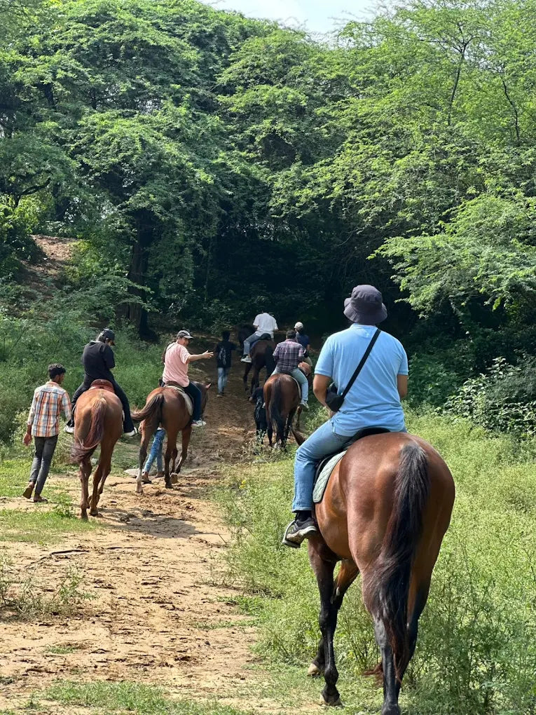 The Horse Riding Forest Trail With Dining For Two