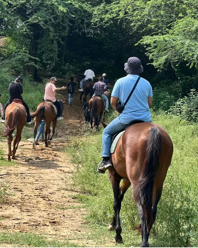 The Horse Riding Forest Trail With Dining For Two