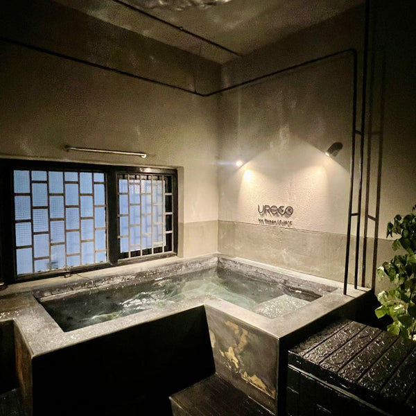 Ice Plunge and Sauna for One (30)