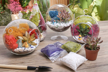 Build Your Own Terrarium For One