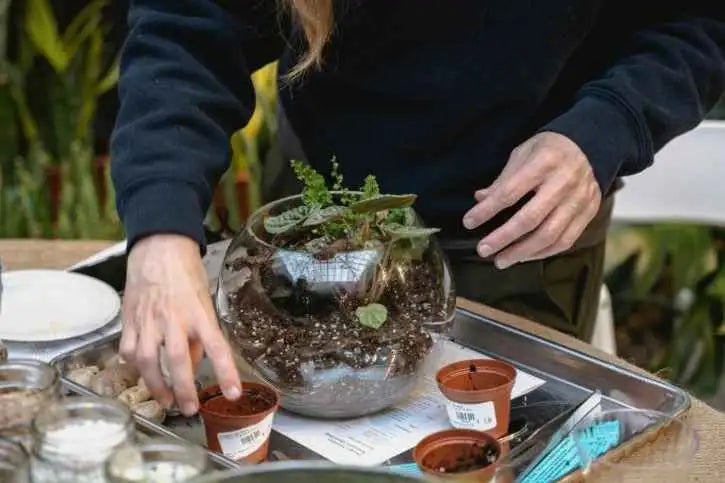 Build Your Own Terrarium For One