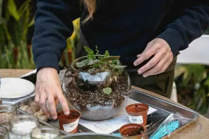 Build Your Own Terrarium For One