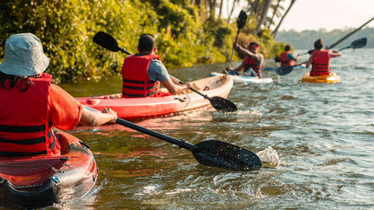 Backwater Kayaking: Chapora River Escape For Two