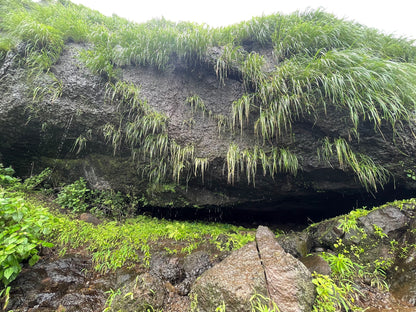 Windy Plateau Trek: Open Views, Hidden Falls & Chai Breaks For Two