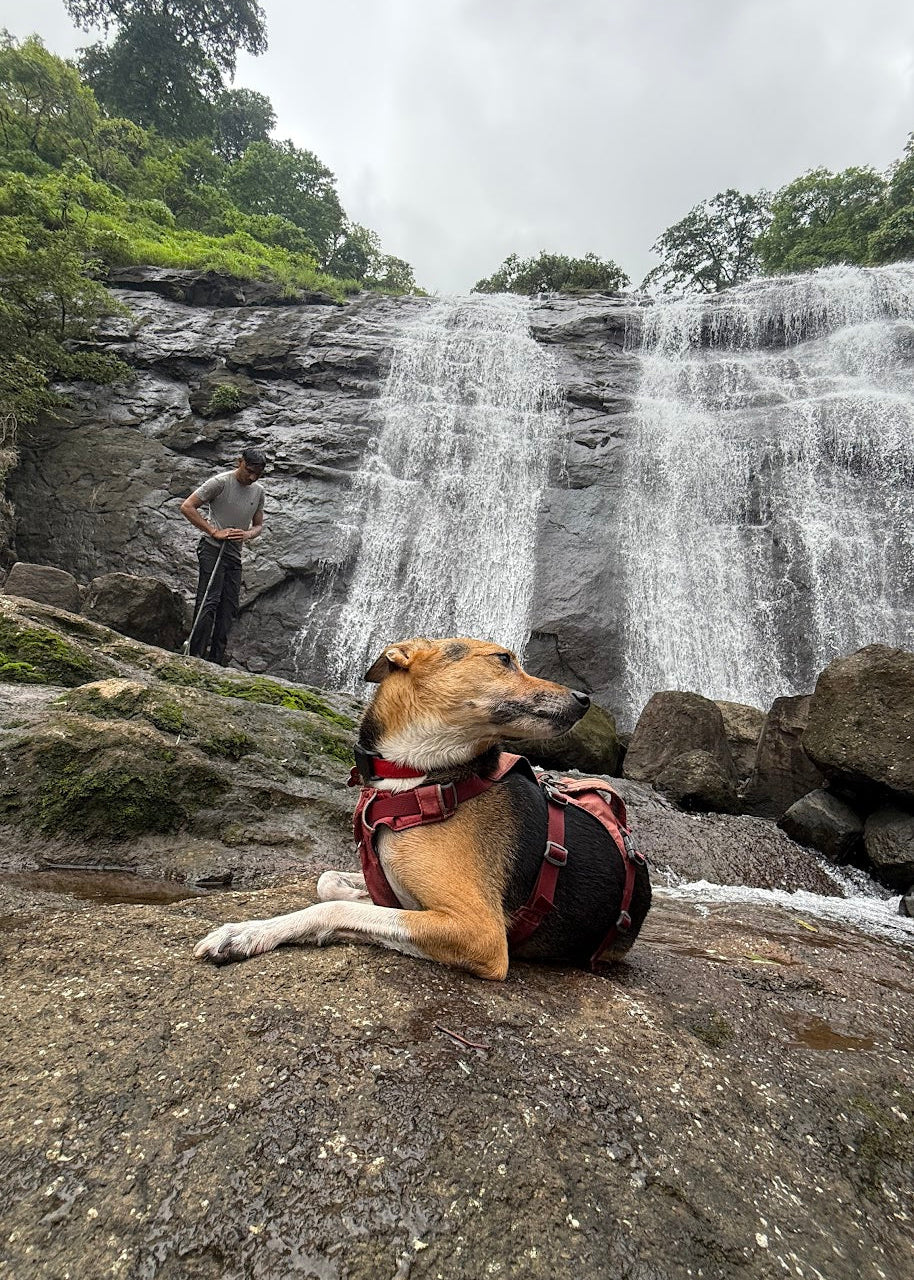 Four Falls Trek – A Hidden Waterfall Retreat For Two