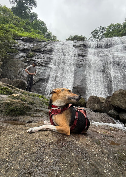 Four Falls Trek – A Hidden Waterfall Retreat For Two