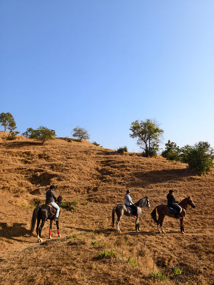 Saddle & Safari : A Jungle Horseback Adventure for One