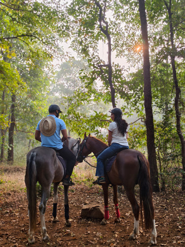 Saddle & Safari : A Jungle Horseback Adventure For Two