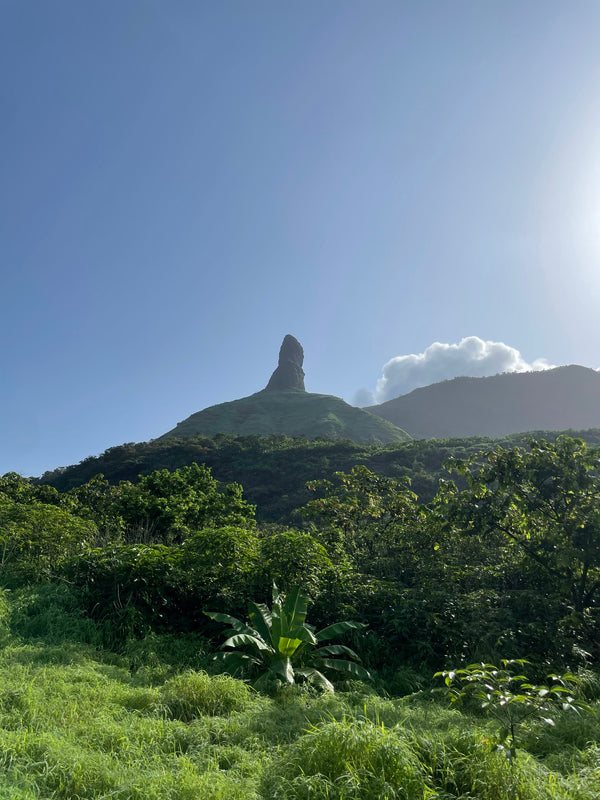 Dadima’s Waterfall Trek – A Hidden Escape Near Mumbai For Two