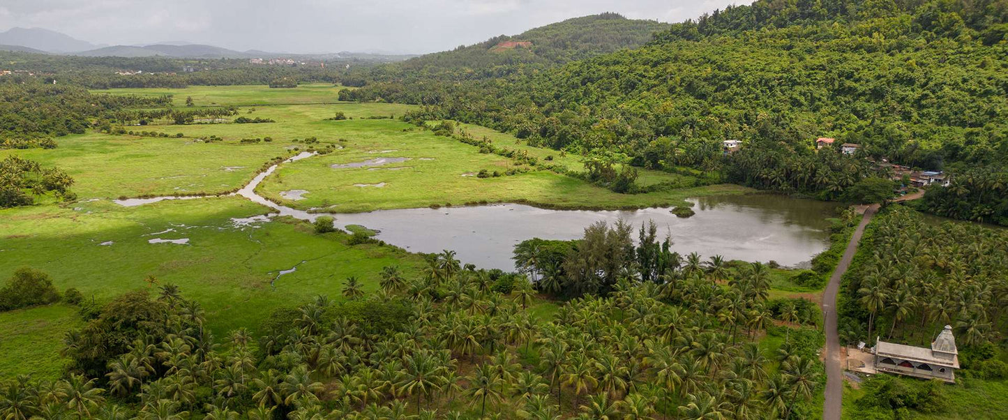 Mulgao Village Trail: Coconut Farming & Folk Traditions For Two