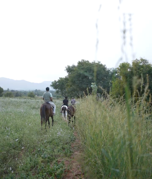 The Countryside Horseback Safari (1 Hour - 1.5 Hours)