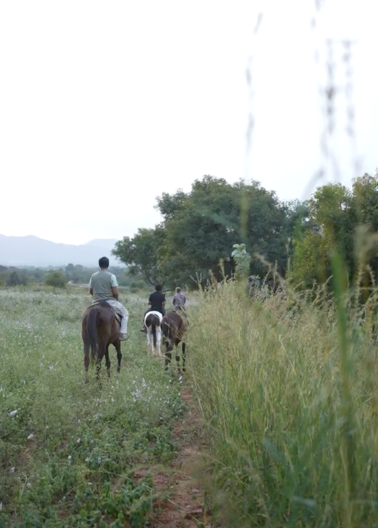 Summit Horseback Safari: Signature Trail Experience For One (1.5 - 2.5 Hours)