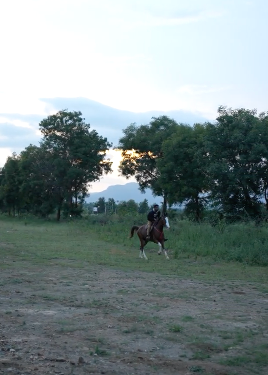 The Countryside Horseback Safari For One (1 Hour - 1.5 Hours)