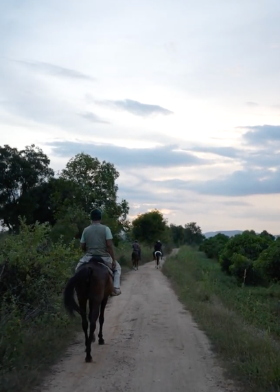 The Countryside Horseback Safari For One (1 Hour - 1.5 Hours)