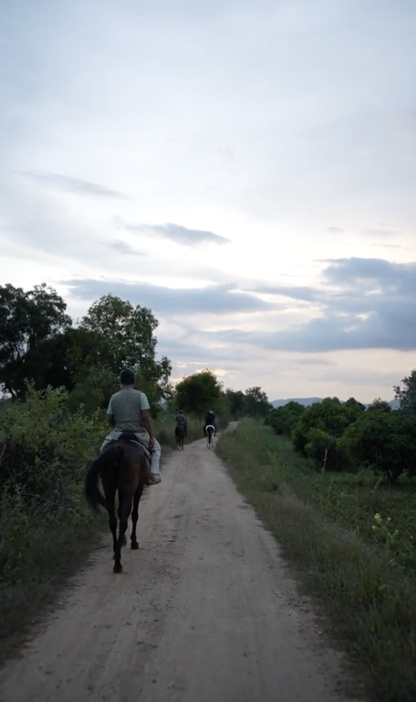 Summit Horseback Safari: Signature Trail Experience (1.5 - 2.5 Hours)