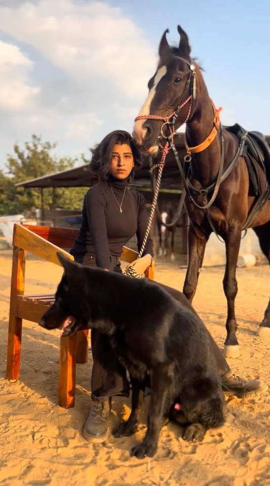 The Countryside Horseback Safari (1 Hour - 1.5 Hours)