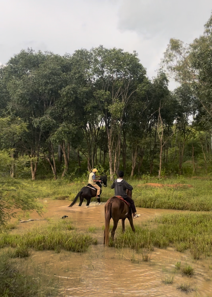 Private Sunset Horseback Date: A Golden Hour Experience for Two