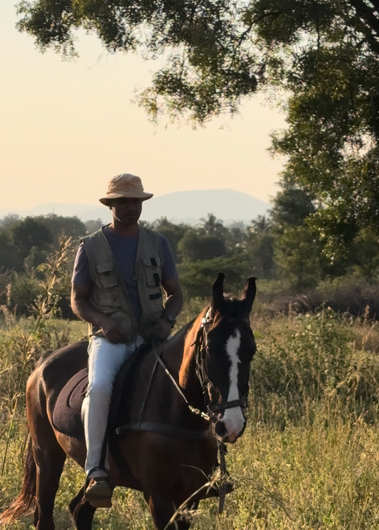 Summit Horseback Safari: Signature Trail Experience For One (1.5 - 2.5 Hours)