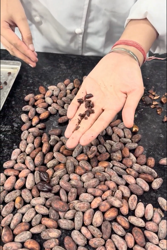 Bean-to-Bar Chocolate Making Experience For One