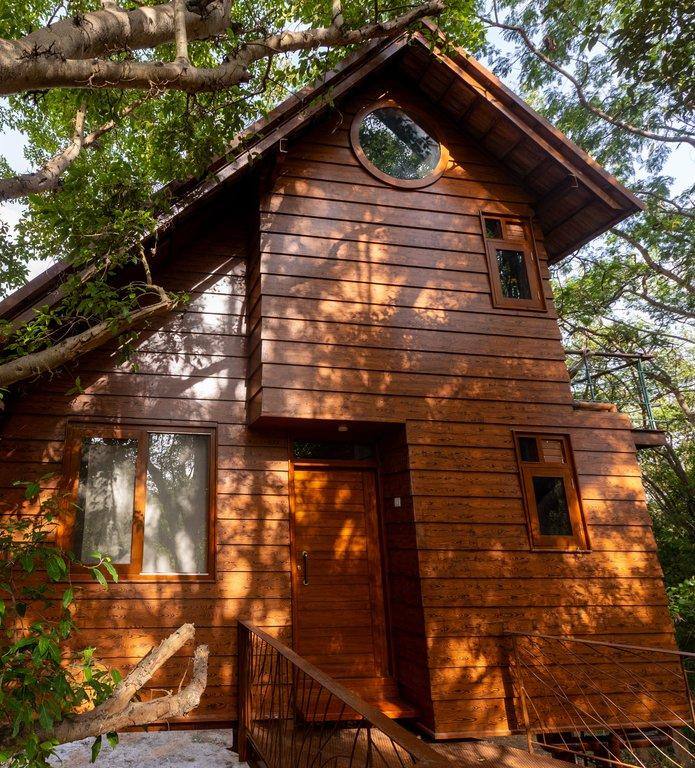 Treehouse stay experience