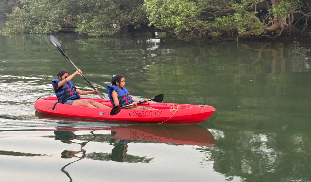 Mangrove Kayaking & Boating: Backwater Escape For Two
