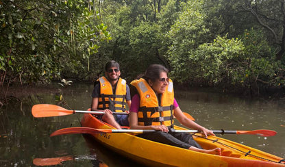 Mangrove Kayaking & Boating: Backwater Escape For Two