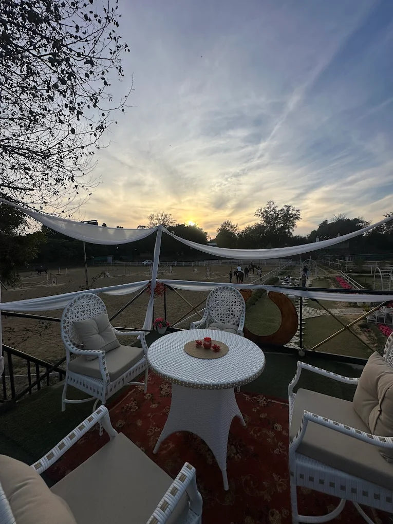 The Horse Riding Forest Trail With Dining For Two