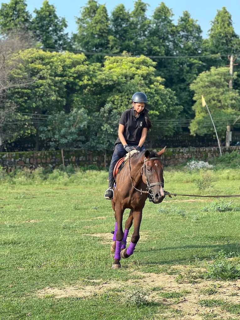 Forest Trail Horse Riding Experience For Two