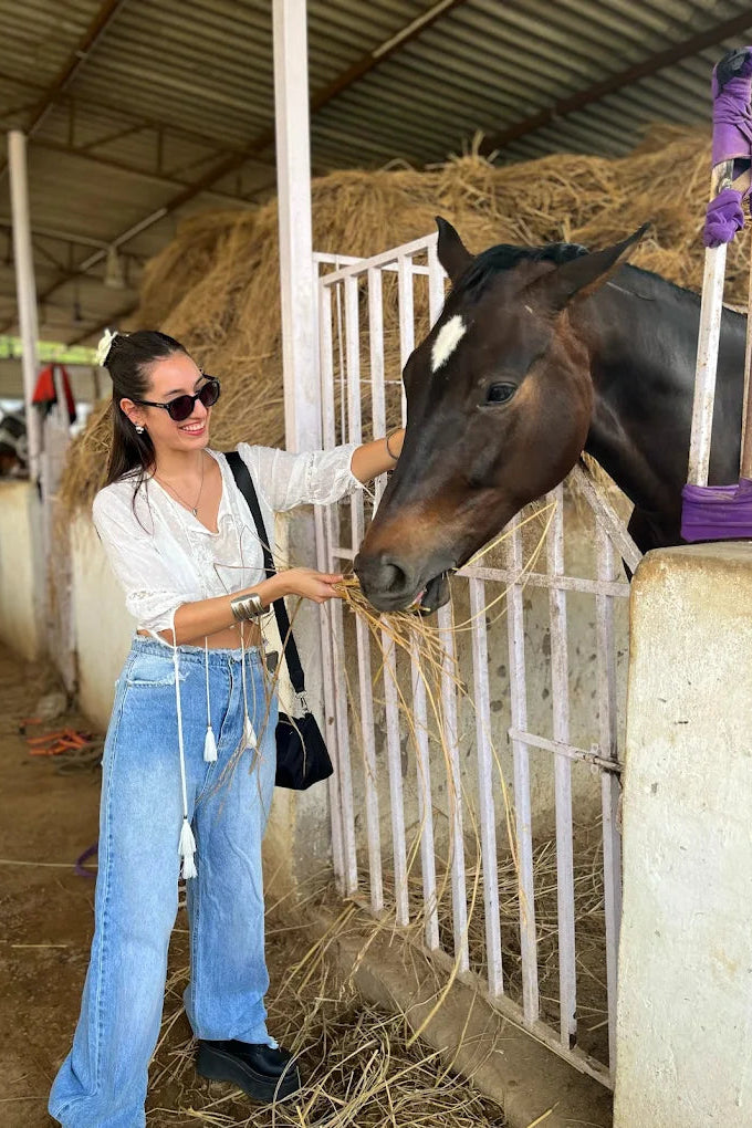 Forest Trail Horse Riding Experience For Two