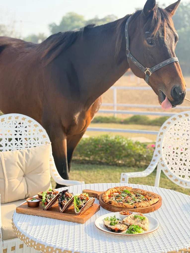 The Horse Riding Forest Trail With Dining For Two